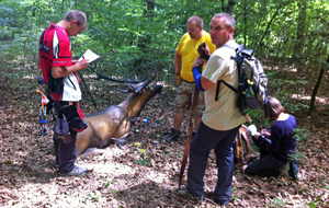 Fallait oser chercher le coude Thierry !