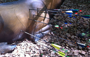 La preuve, juste derrière le sabot, du grand art !