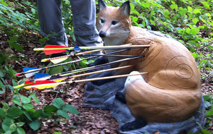 Un joli tir du peloton.
