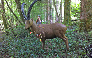 La dernière cible de la journée.