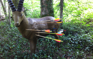 Ils ont tout donné sur la dernière.