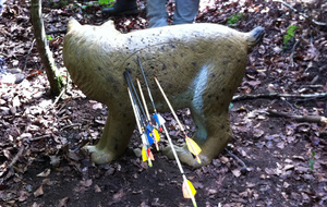 Tous sur la gauche, trompés par le pas de tir,  sauf le maitre !