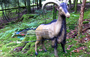 Ouf, failli passer dessous !