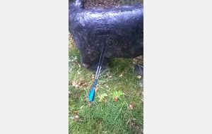 Le 11 il l' a trouvé Serge !