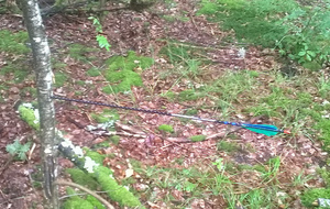 L' arbre aussi d'ailleurs, plein centre !