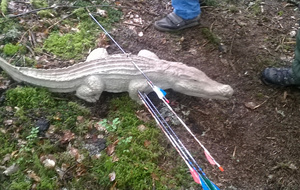 Ouf, faillit passer dessus mais le seul a toucher la zone ...