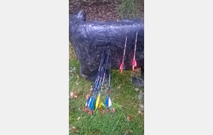 Tir groupé à la recherche du 11 !