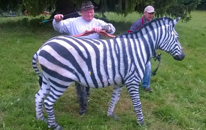 C'est la flèche à Serge !