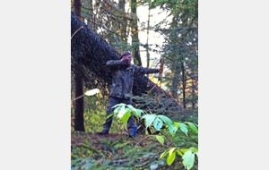 Petit Serge en action !