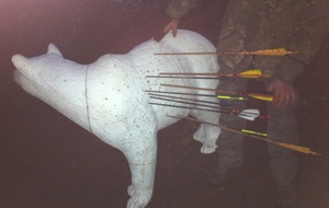 Tir de nuit sur l'avant dernière cible mais beau résultat !!!