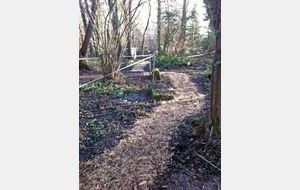 De nouveaux chemins.