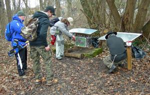 Pas bien gros le hérisson.
