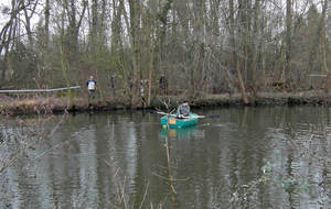 Mais il y en a partout !!