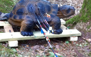 Pas facile la tortue.