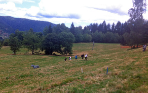 Il y avait un peu de distance du bleu ...