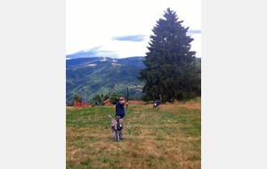 Une autruche énorme mais à distance.