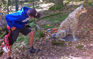 Tous trop bas, fallait lever le bras !