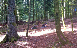 Pas bien gras les birdies.