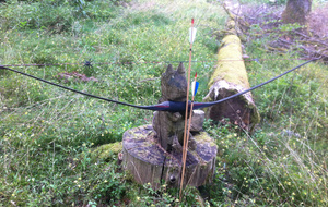 Curieux les écureuils du Frenz.