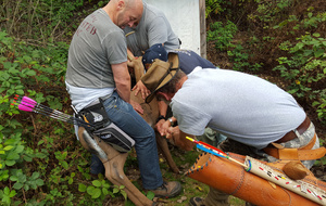 A 4 sur la pauvre bête !