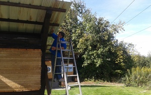 Daniel au pinceau pour les boiseries !
