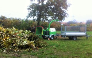 Avant broyage des déchets de taille.