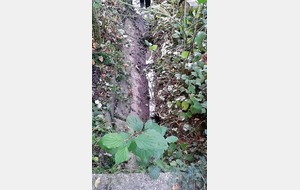 Le fossé d'alimentation de l'étang effondré.