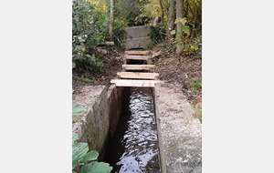 Bravo les jeunes, sacré boulot !