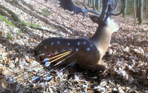 Beau tir sur une cible couchée pas facile.
Léo qu'est ce que tu cherches ?