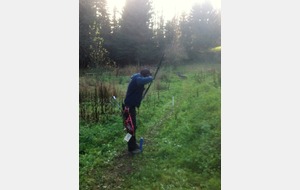 Pas facile le chevreuil qui détale !