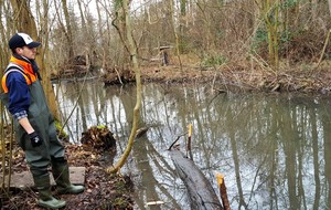 Vérification de l'alignement.