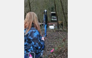 Pousse toi le cygne !