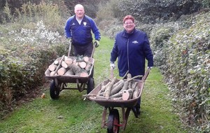 Course de brouettes !