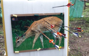 Dernière cible du parcours "camping", 2ème jour .