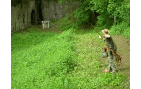 Nature Lingolsheim 08.05.12