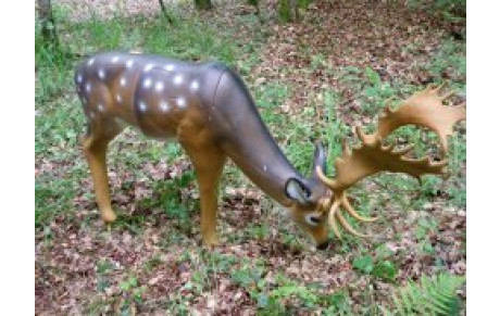 3D Fleurey les Faverney