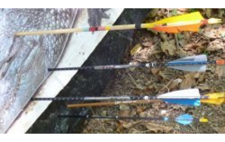 Nature Gorze 09.09.12