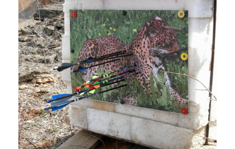 Concours nature La Chapelle Thècle