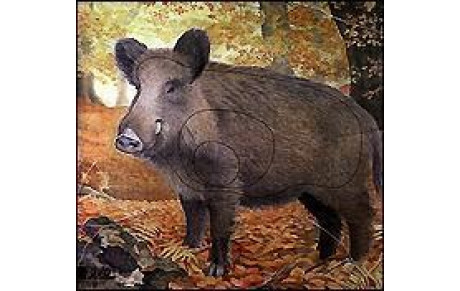 Concours Nature CD &quot;Les Compagnons du  6ème Sens&quot; 01.05.13