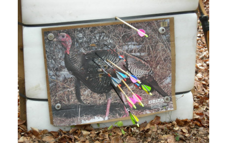 Concours nature Marchaux