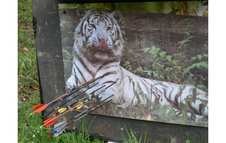 concours nature Dôle