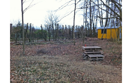 Vie Active du 25/01/14