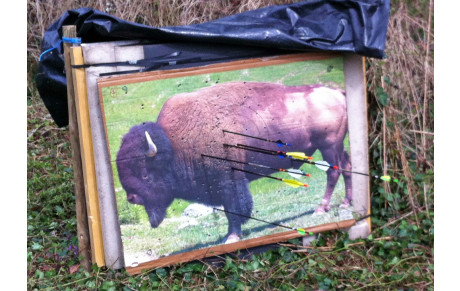 23.03.14 Tir Nature Sainte Croix en Plaine