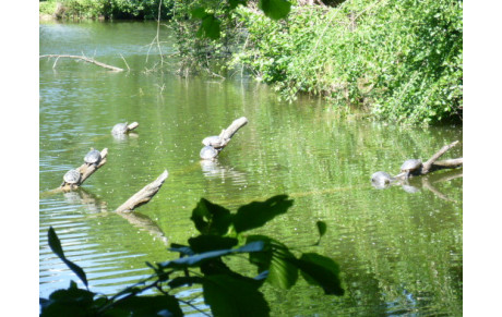 Réussite ATAL / protection de la nature