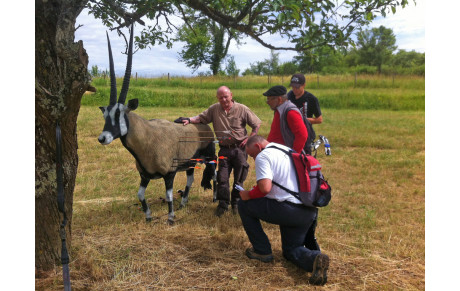 3D Fleurey les Faverney