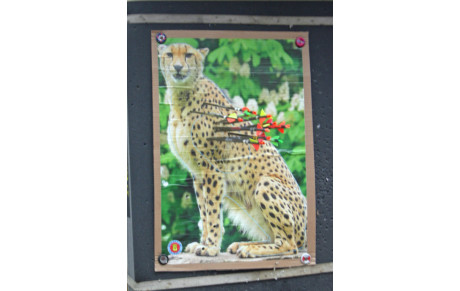 Concours nature du 06 mars