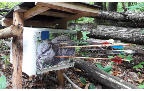 Tir nature Neuwiller les Savernes