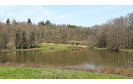 Nature Etueffont Belfort 08.04.18