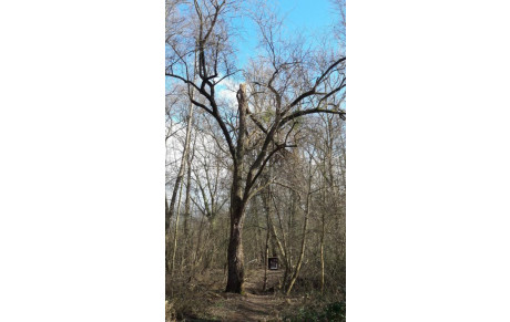 Tir nature ATAL 10 mars 2019