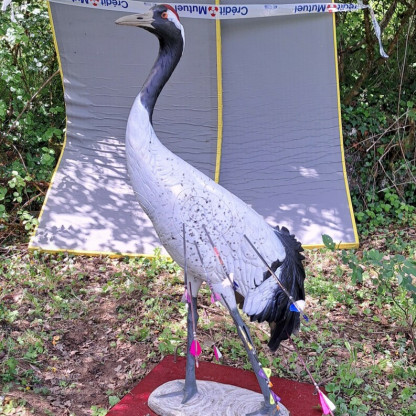 Tir 3D - Ars sur Moselle -Ancy Dornot